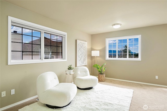 sitting room with baseboards and carpet floors