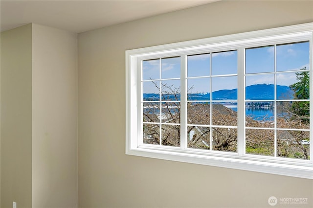 room details with a mountain view