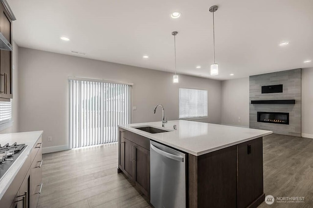 kitchen with stainless steel appliances, light wood finished floors, a sink, and dark brown cabinetry