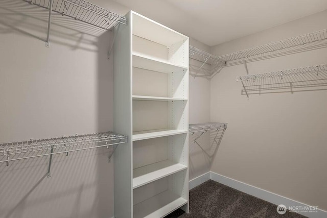 walk in closet featuring dark carpet