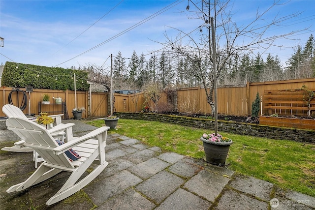 view of yard featuring a patio area and a fenced backyard