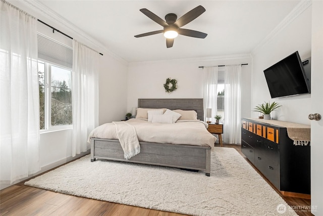 bedroom with ornamental molding, multiple windows, ceiling fan, and wood finished floors