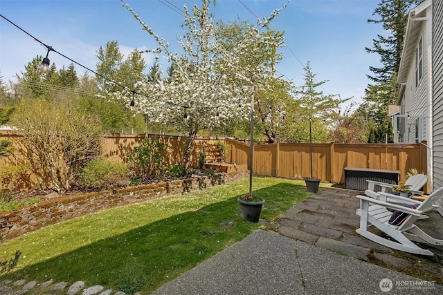 view of yard featuring a fenced backyard and a patio