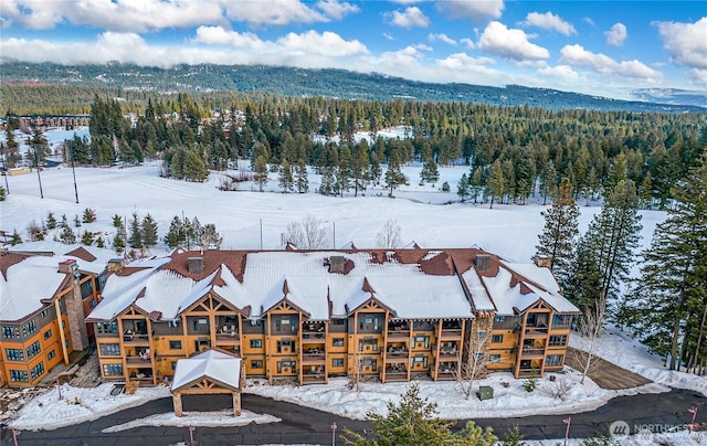 snowy aerial view featuring a forest view