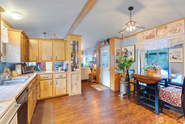 kitchen with light brown cabinetry, dark wood-type flooring, light countertops, and a wealth of natural light