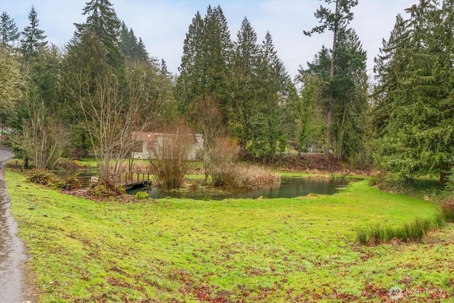 view of yard featuring a water view