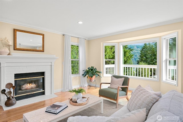 living room with crown molding, a fireplace, a wealth of natural light, and wood finished floors