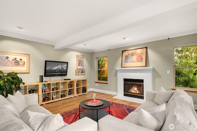 living room featuring crown molding, a fireplace, and wood finished floors