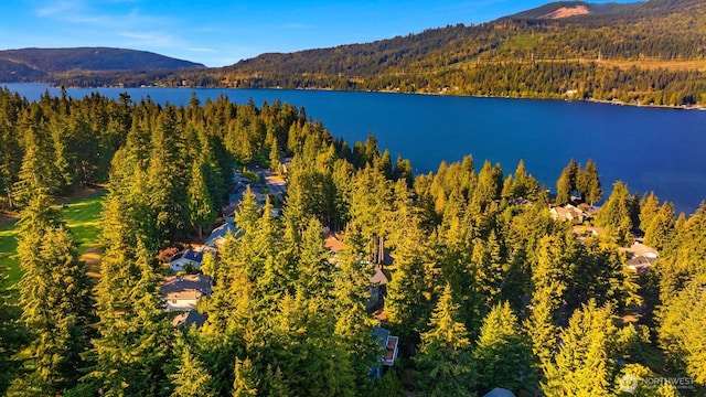 birds eye view of property with a forest view and a water and mountain view