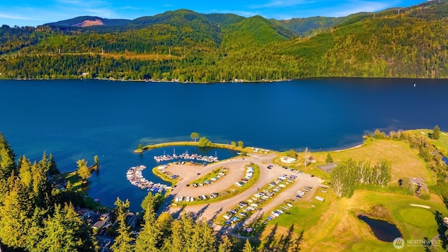 aerial view featuring a water and mountain view and a view of trees