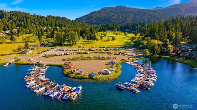 drone / aerial view featuring a forest view and a water and mountain view