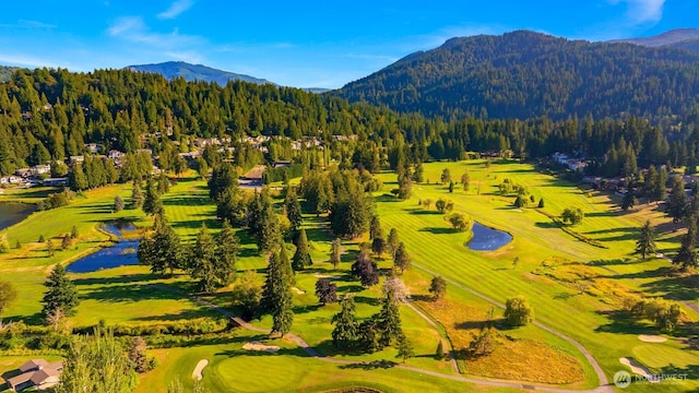 birds eye view of property featuring a forest view and a mountain view