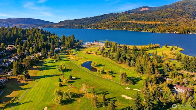 drone / aerial view featuring a forest view and a water and mountain view