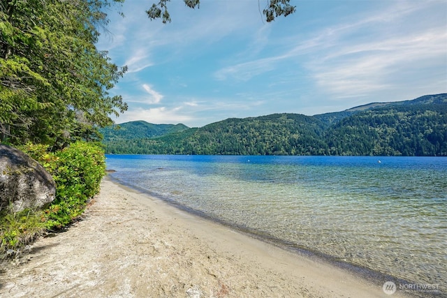 property view of water with a mountain view and a wooded view