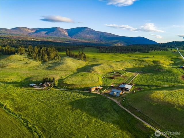 bird's eye view featuring a mountain view and a rural view