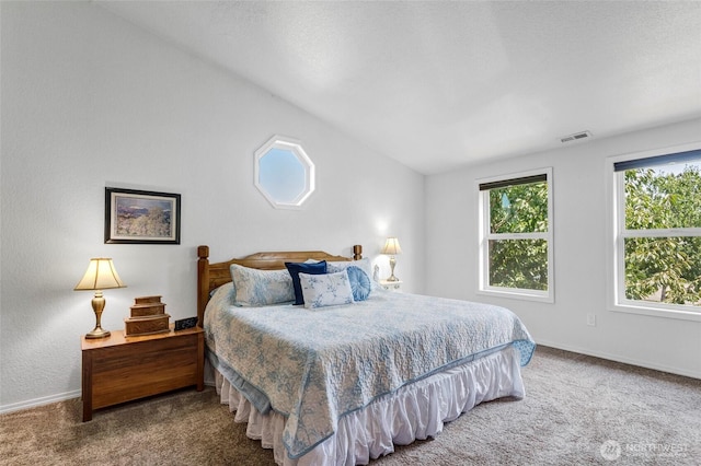 bedroom featuring multiple windows, carpet, and visible vents