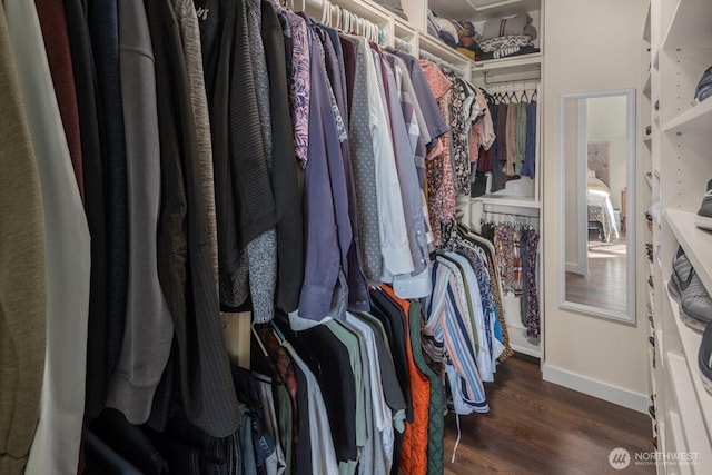 walk in closet featuring wood finished floors