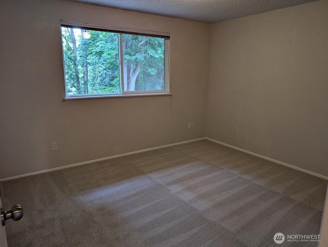 12627 48th Ave NE, Marysville, WA 98271 - photo 16