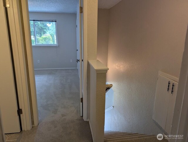 12627 48th Ave NE, Marysville, WA 98271 - photo 19