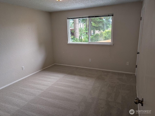 12627 48th Ave NE, Marysville, WA 98271 - photo 20