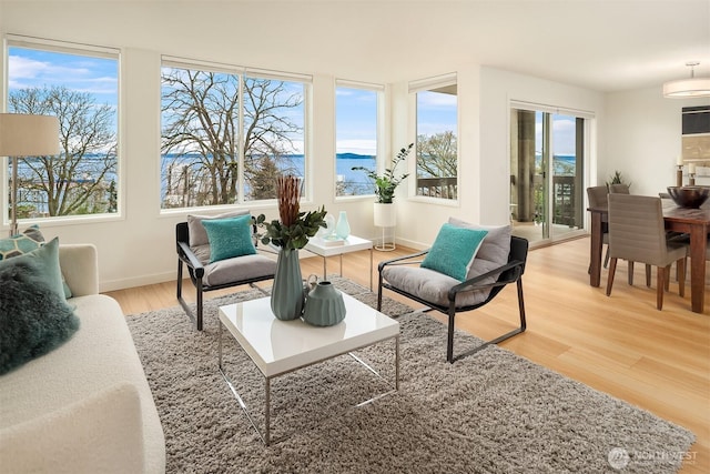 interior space featuring light wood-type flooring and baseboards