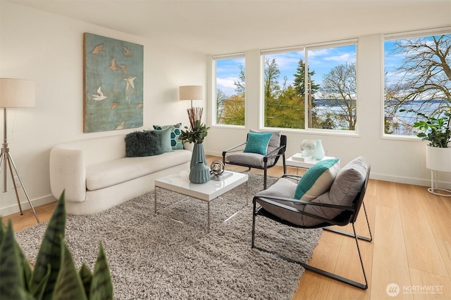 living area featuring baseboards and wood finished floors