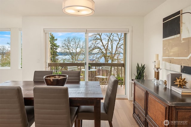 dining space featuring light wood-style floors