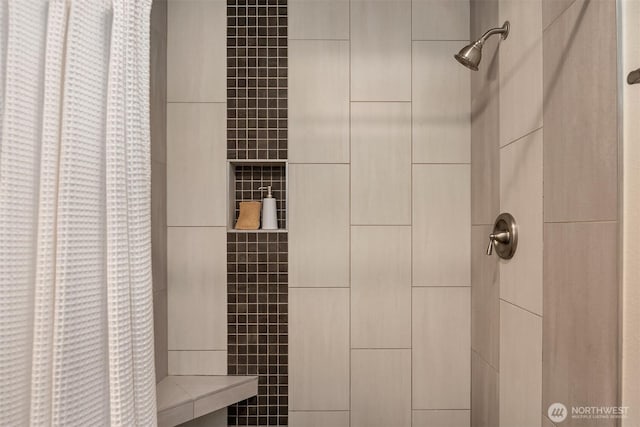 room details with tiled shower