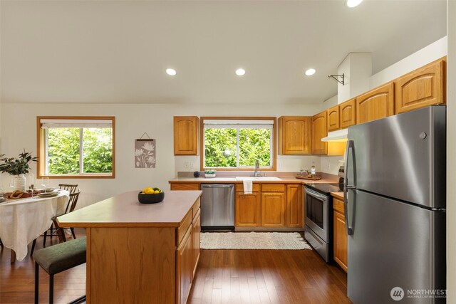 kitchen with a sink, plenty of natural light, appliances with stainless steel finishes, and under cabinet range hood