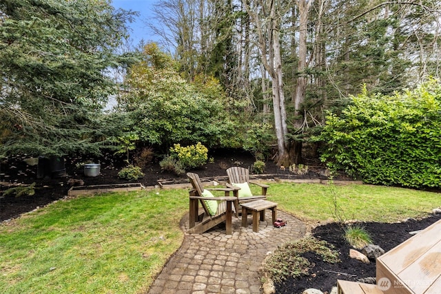 view of yard with a patio