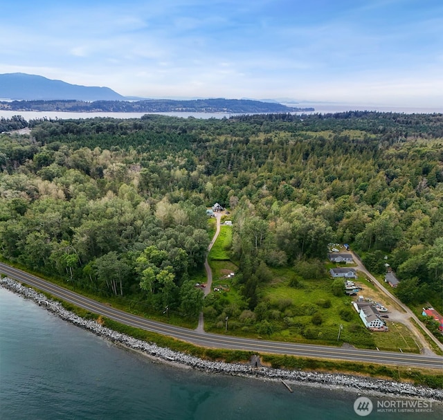 birds eye view of property featuring a view of trees and a water and mountain view