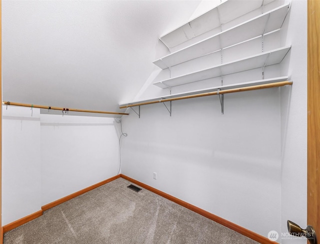 walk in closet featuring visible vents and carpet floors