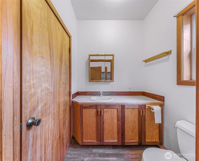 bathroom featuring toilet, vanity, and wood finished floors