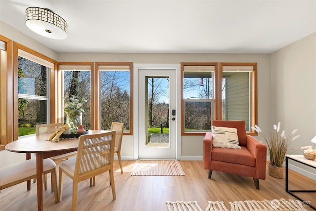 doorway with light wood-style flooring, baseboards, and a wealth of natural light