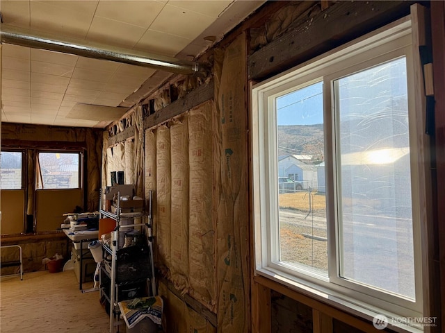 interior space featuring a wealth of natural light and wood walls