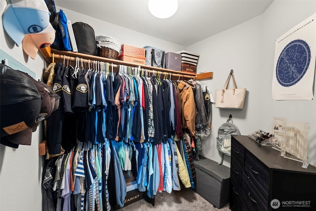 spacious closet featuring carpet flooring