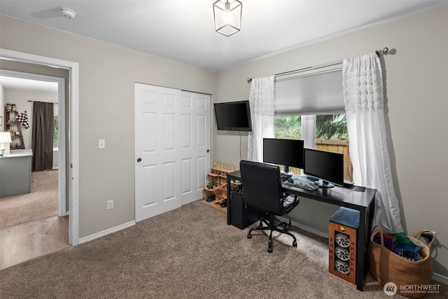 office area featuring baseboards and carpet floors