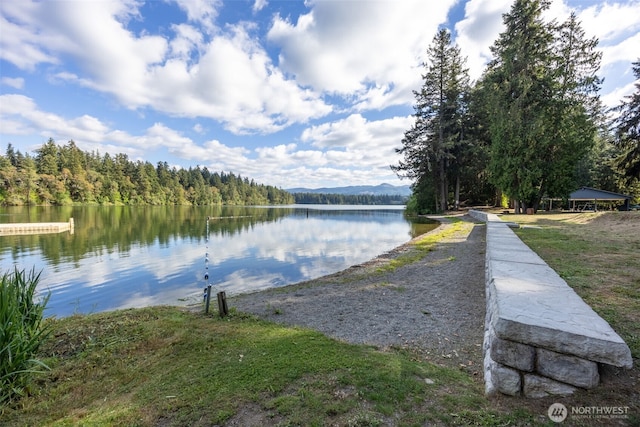 property view of water with a view of trees