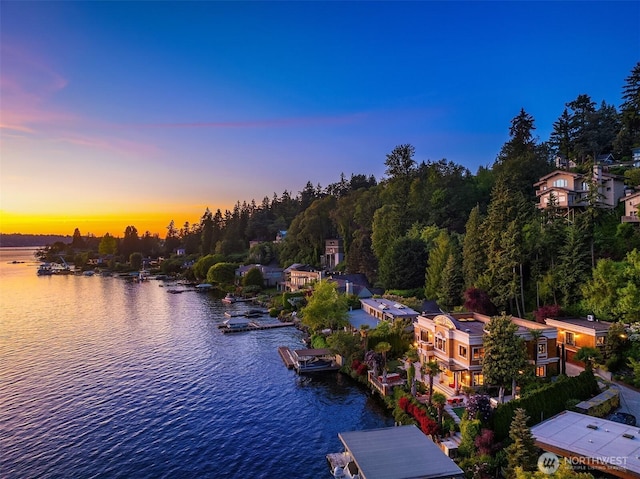 water view featuring a dock