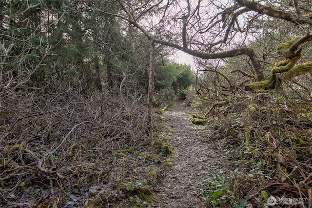 view of nature