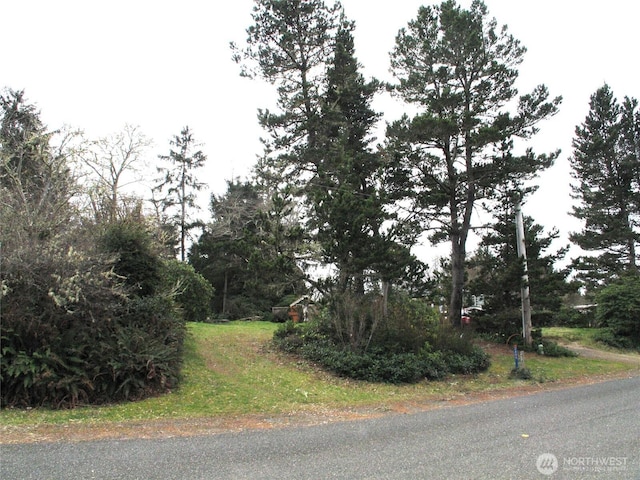 Listing photo 2 for 2406 300th Pl, Ocean Park WA 98640