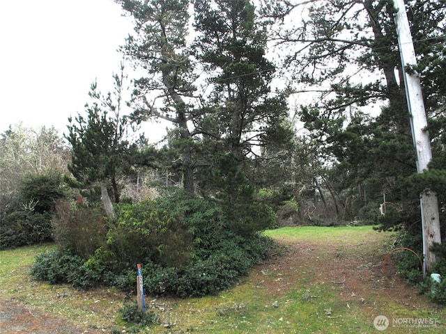 Listing photo 3 for 2406 300th Pl, Ocean Park WA 98640