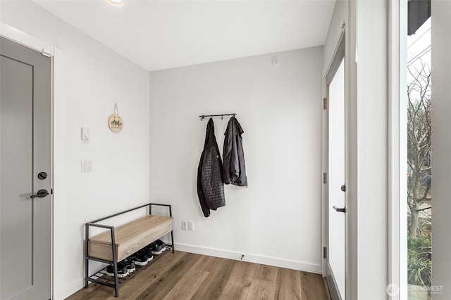 interior space with a healthy amount of sunlight, baseboards, and wood finished floors