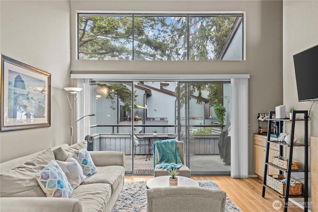 living area featuring a healthy amount of sunlight, a towering ceiling, and wood finished floors