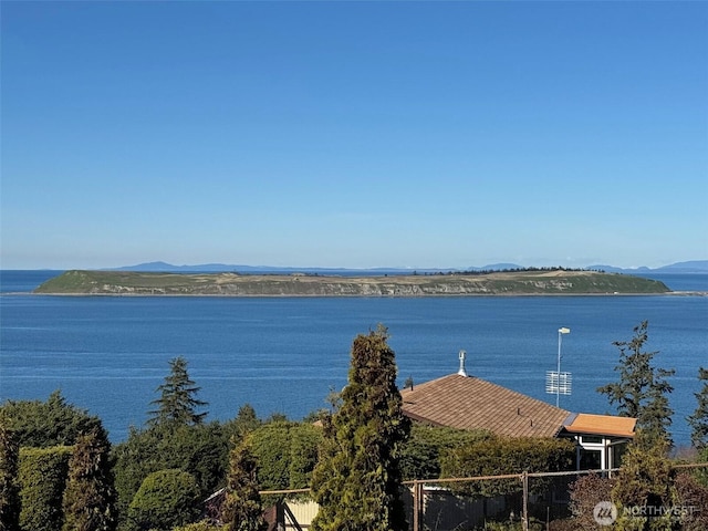 water view with a mountain view