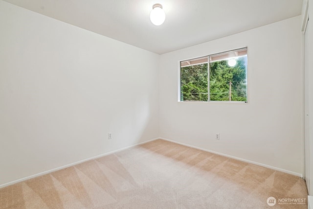 unfurnished room with light carpet