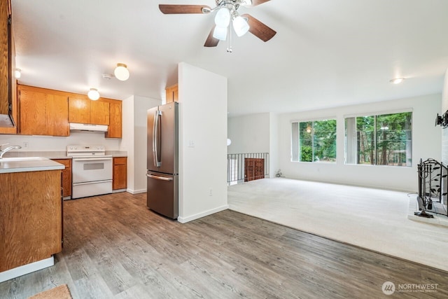 kitchen with electric stove, light wood finished floors, freestanding refrigerator, a sink, and under cabinet range hood