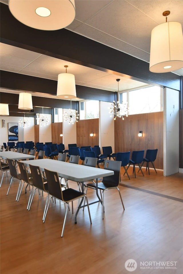 dining area featuring a chandelier, a wealth of natural light, beam ceiling, and wood finished floors