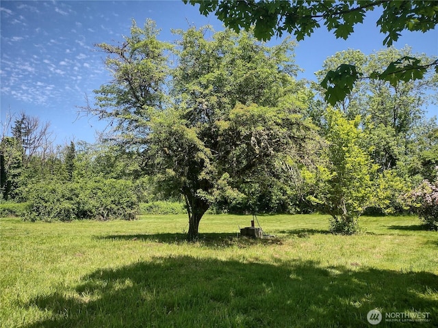 2833 US Highway 12, Salkum, WA 98582