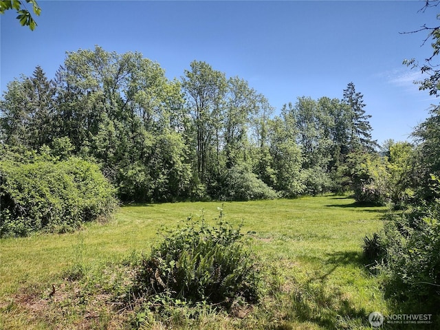2833 US Highway 12, Salkum, WA 98582